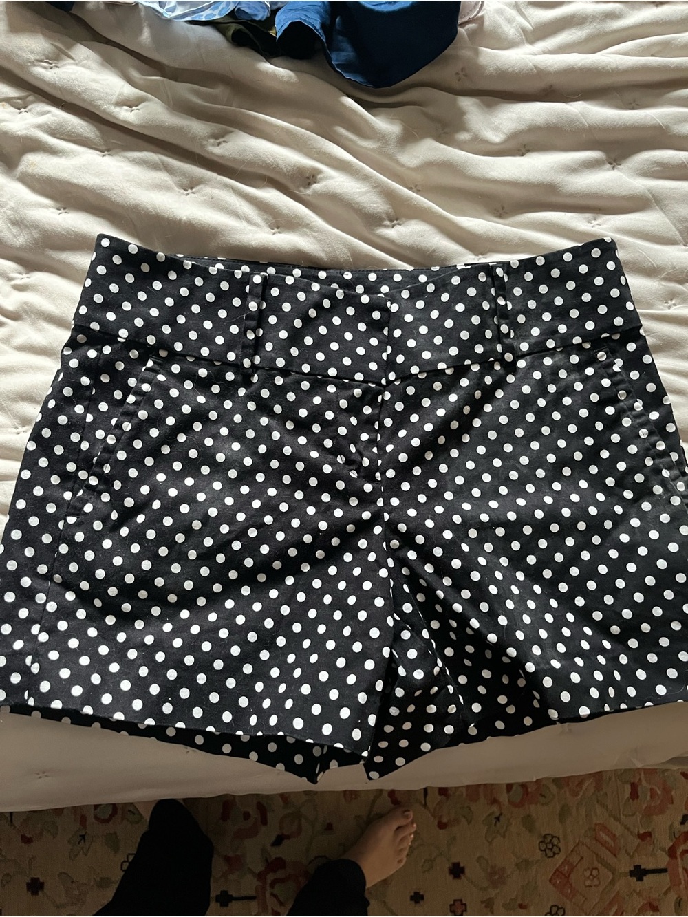 Ann Taylor Black Polka Dot Shorts with White Dots